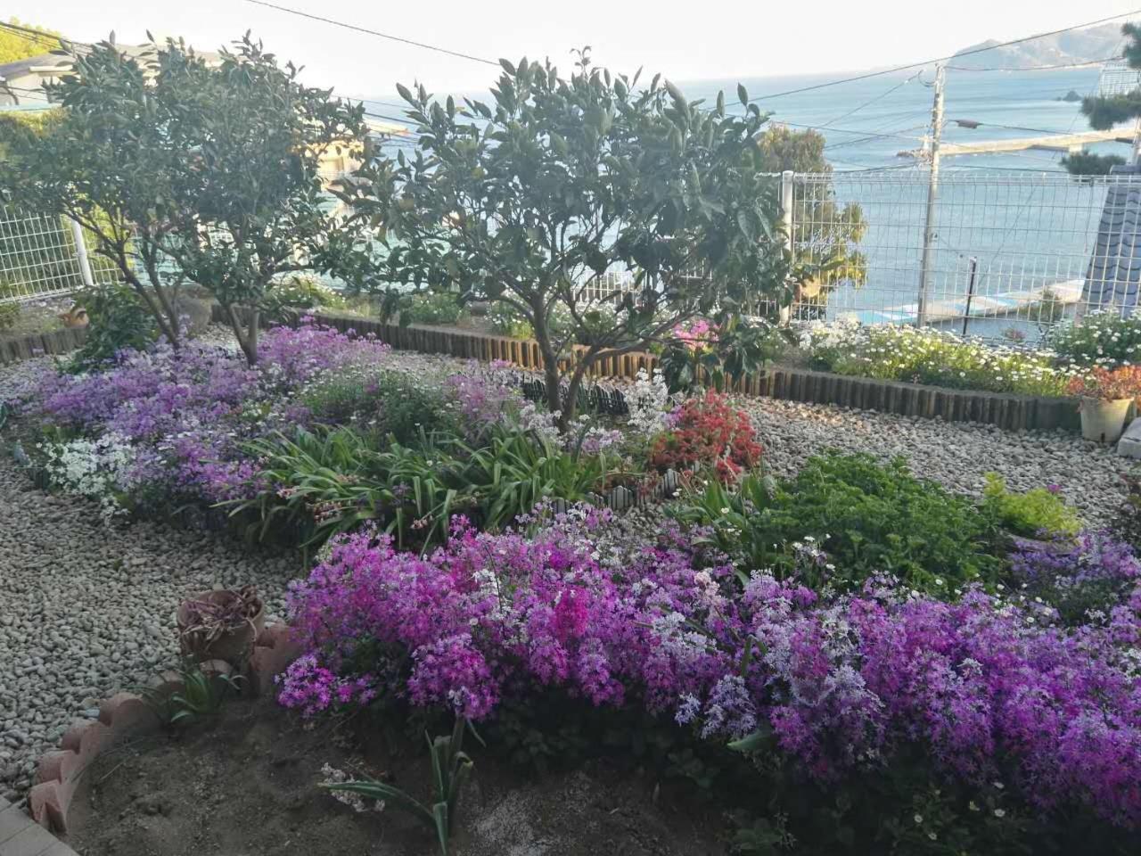 Atami Onsen Guest House Megumi מראה חיצוני תמונה